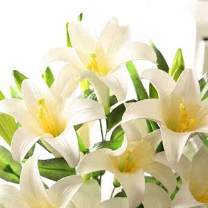 Flores de jabón de lirio
